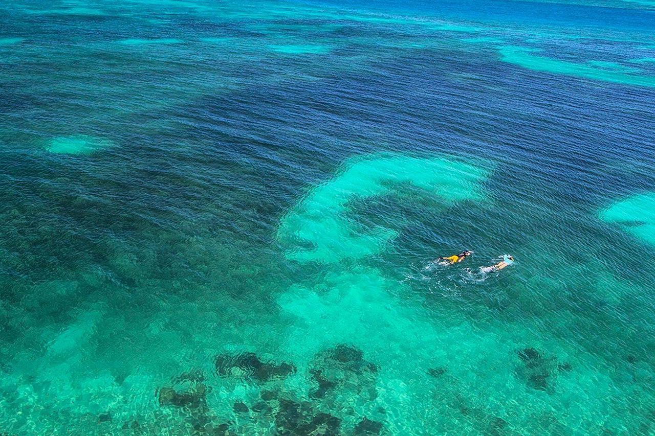 Leeward Isle Villa Key West Bagian luar foto