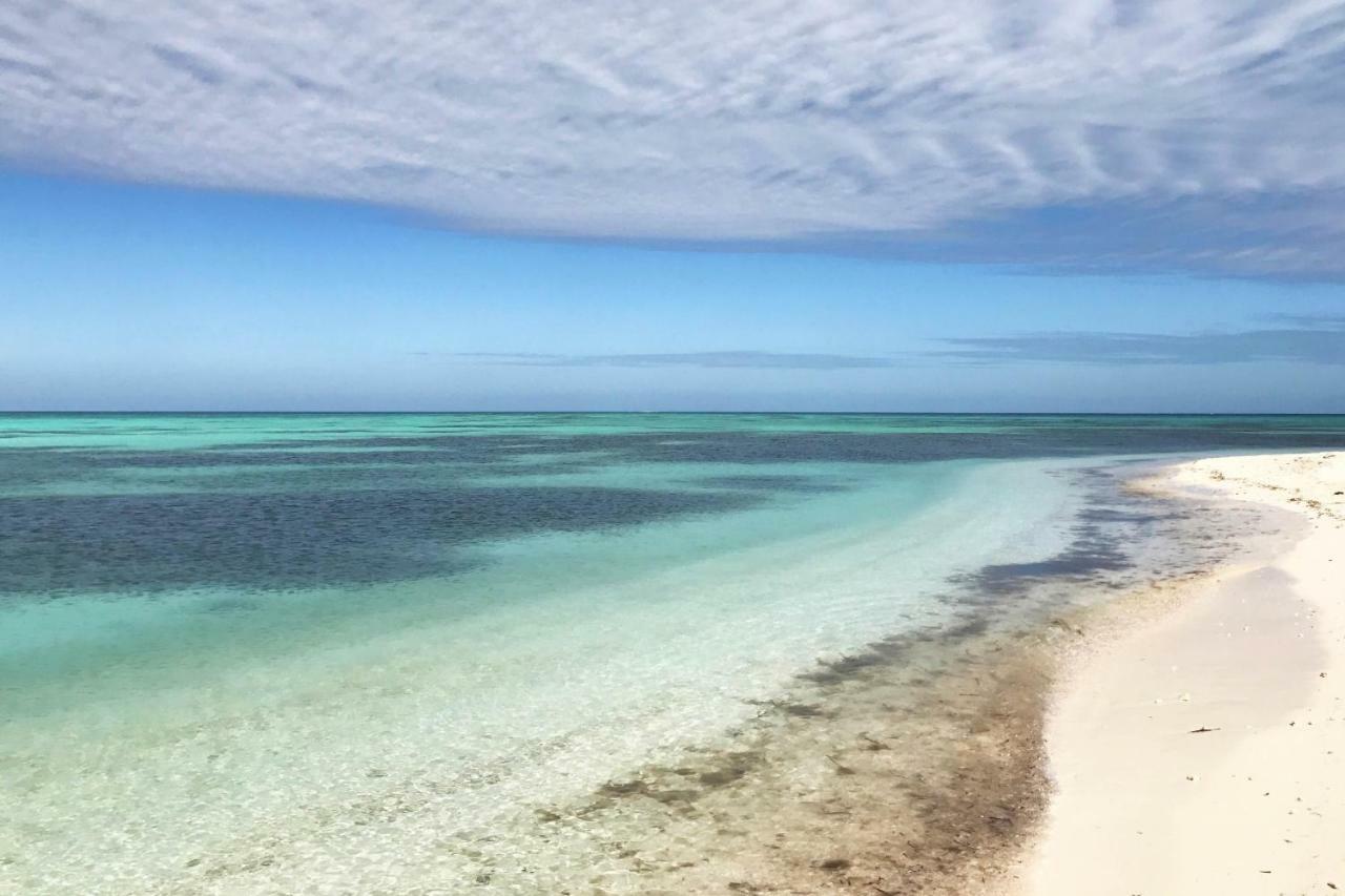 Leeward Isle Villa Key West Bagian luar foto