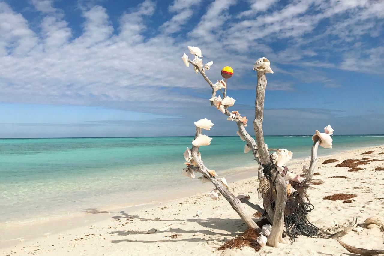 Leeward Isle Villa Key West Bagian luar foto